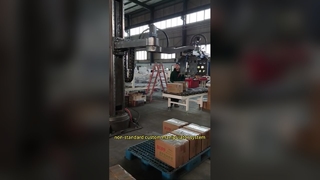 нестандартная система манипуляторов по индивидуальному заказу